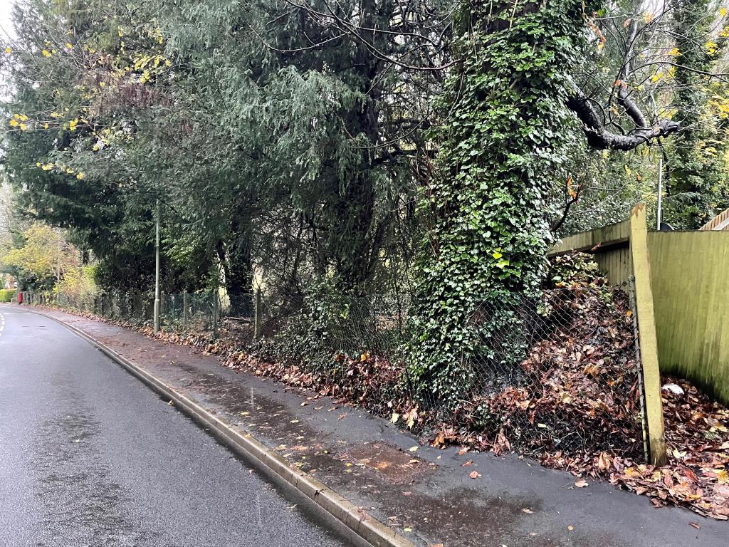 Lot: 41 - JUST OVER TWO ACRES OF WOODLAND WITH POTENTIAL - View of woodland from top of Whyteleafe Hill